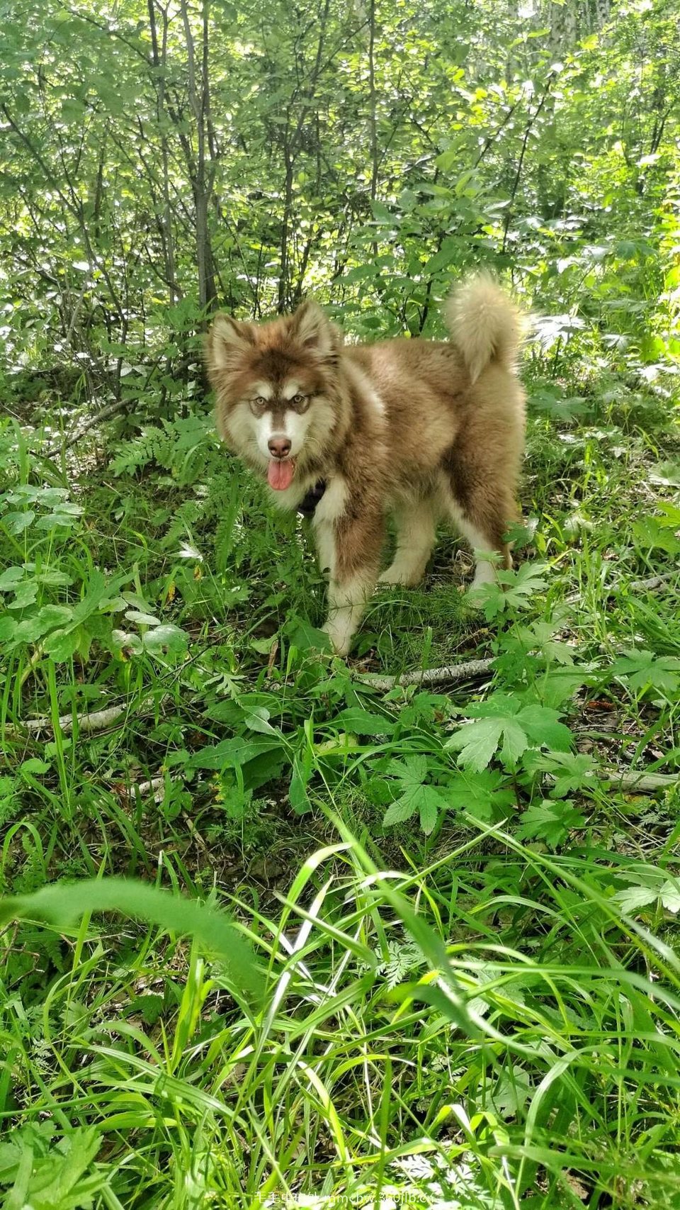 mmexport1473069425077_ep_slim