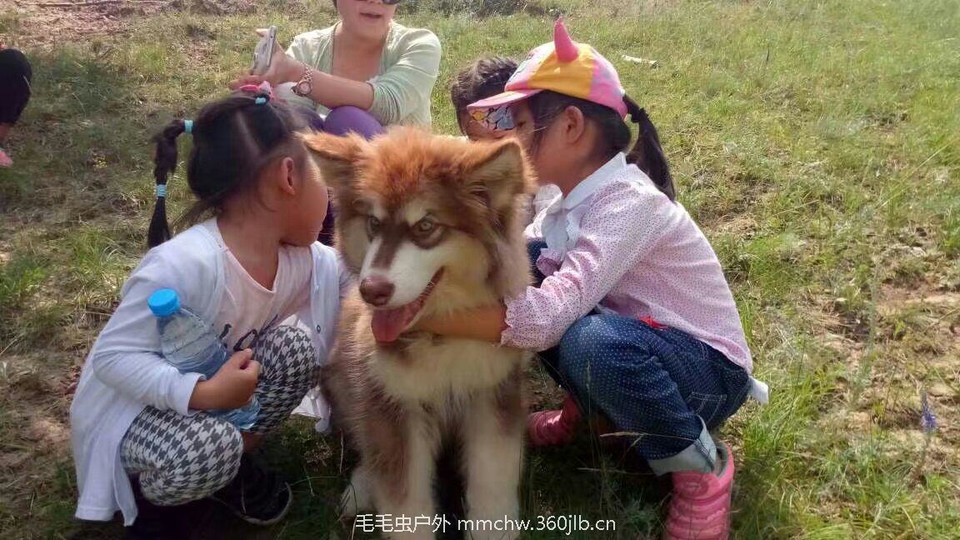 mmexport1473069439184_ep_slim