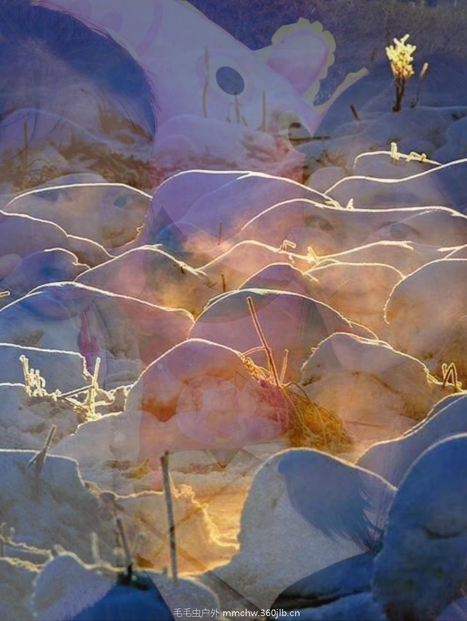 mmexport1485703382834_ep_slim-01