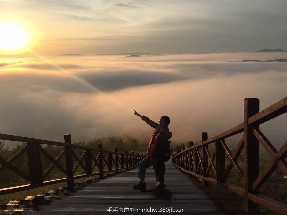 mmexport1501828589618