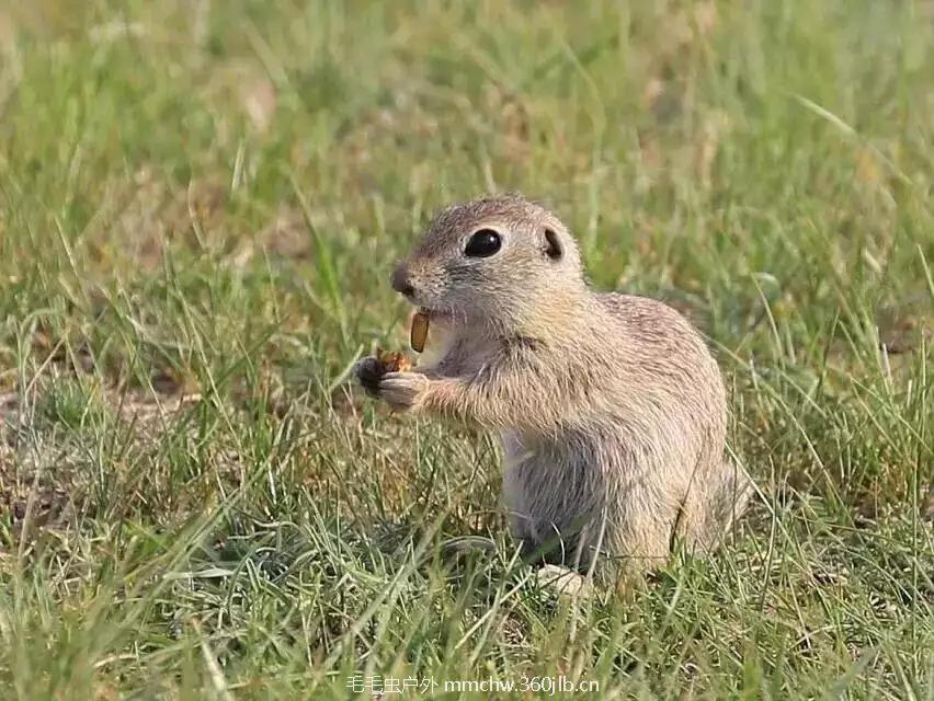 mmexport1521207265997