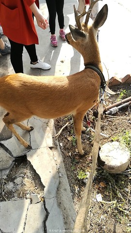 wx_camera_1502409176798