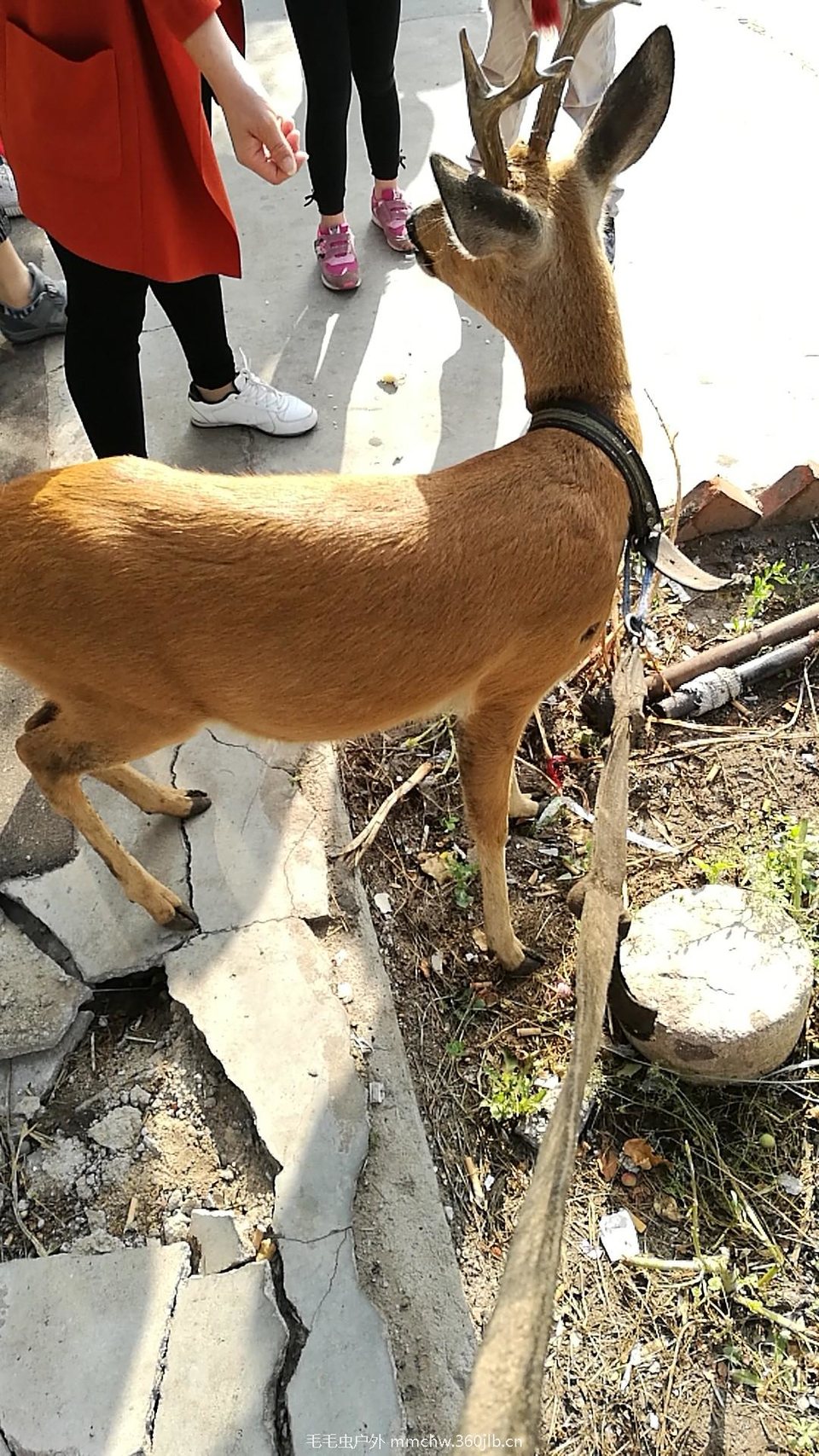 wx_camera_1502409176798