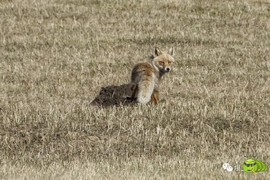 mmexport1493736296160_ep_slim_cd704e9a7695f28fda1b71347db1806e_ep_slim