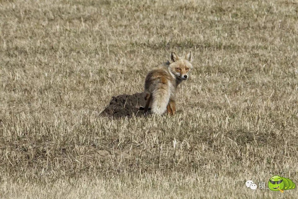 mmexport1493736296160_ep_slim_cd704e9a7695f28fda1b71347db1806e_ep_slim