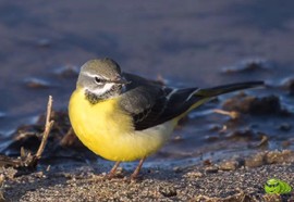 mmexport1494815877978_ep_slim_cd704e9a7695f28fda1b71347db1806e_ep_slim