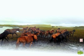 mmexport1495460032518_ep_slim_cd704e9a7695f28fda1b71347db1806e_ep_slim