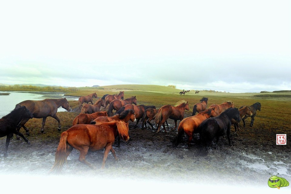 mmexport1495460032518_ep_slim_cd704e9a7695f28fda1b71347db1806e_ep_slim