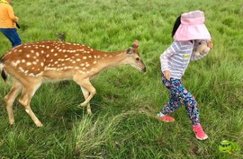 mmexport1502473693235