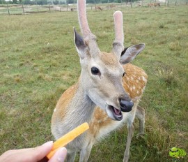 mmexport1503417382749