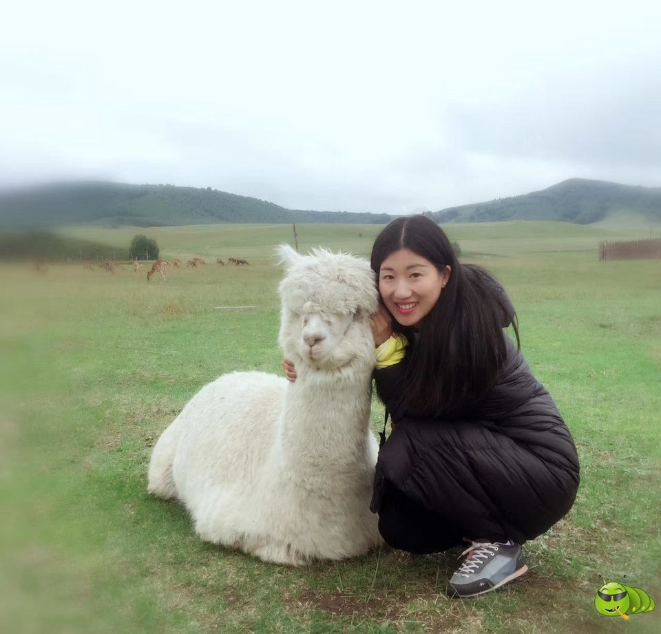 mmexport1503902134326