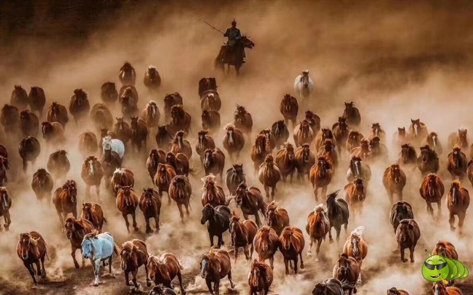 mmexport1504970716621