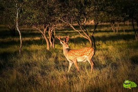 mmexport1505294987266