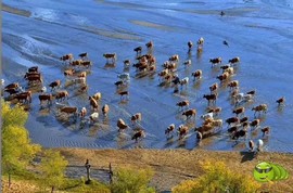 mmexport1505299993642