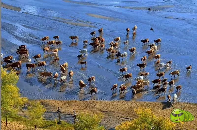 mmexport1505299993642