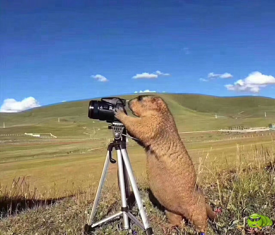 mmexport1505456127085