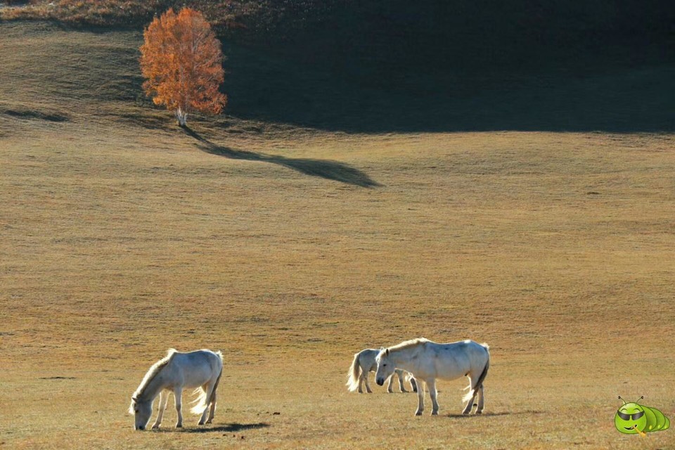 mmexport1506974808175