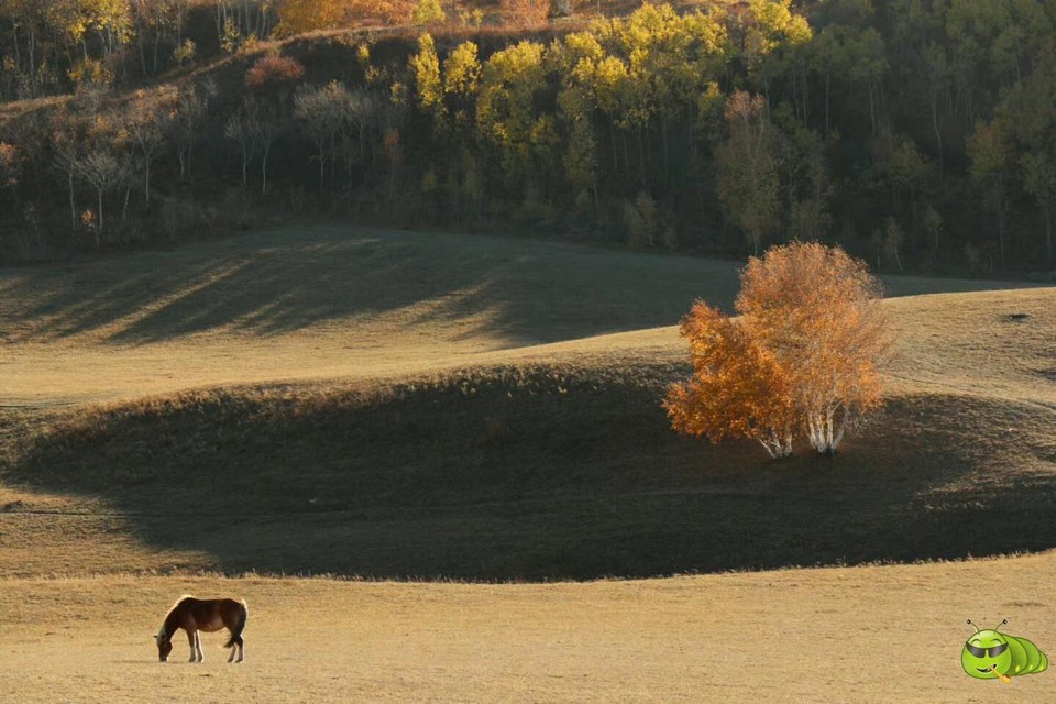 mmexport1506974813065