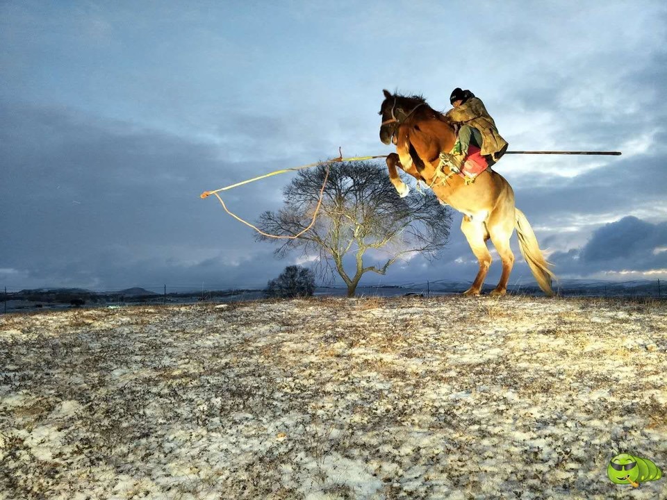 mmexport1507677223213