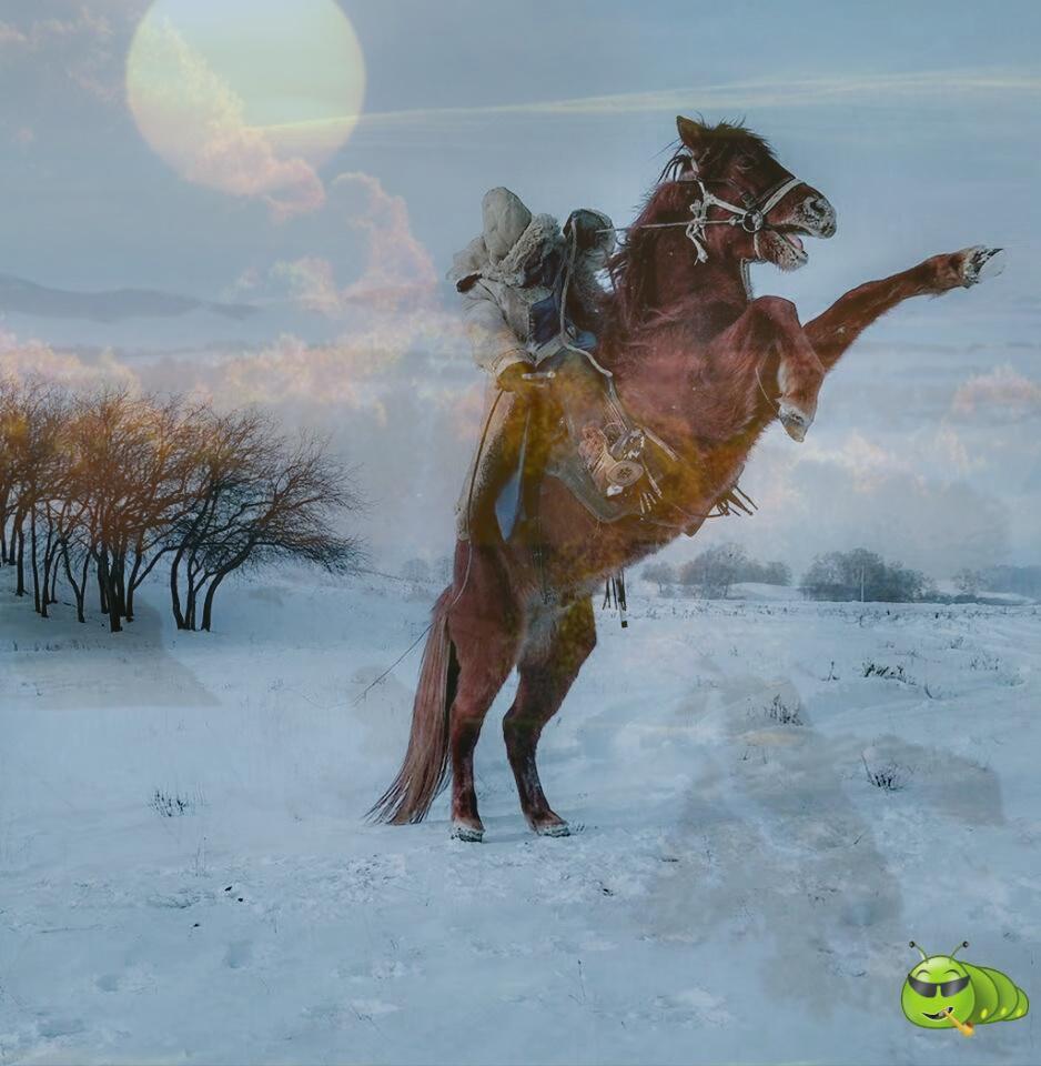 mmexport1515400889506-02