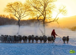 mmexport1516190807822