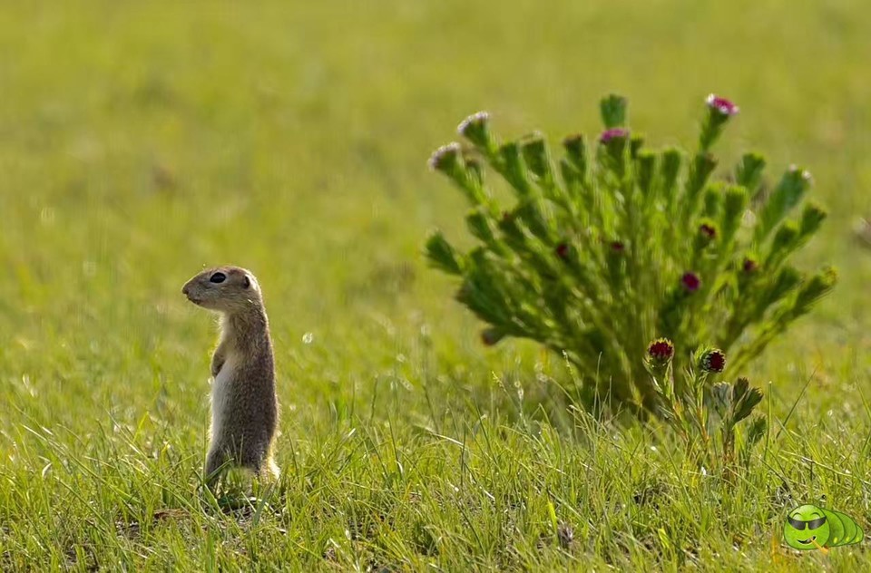 mmexport1521206143659