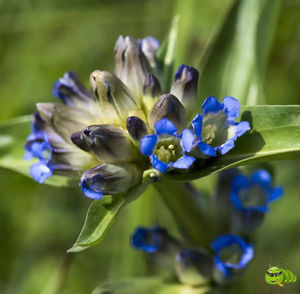 mmexport1521206403165