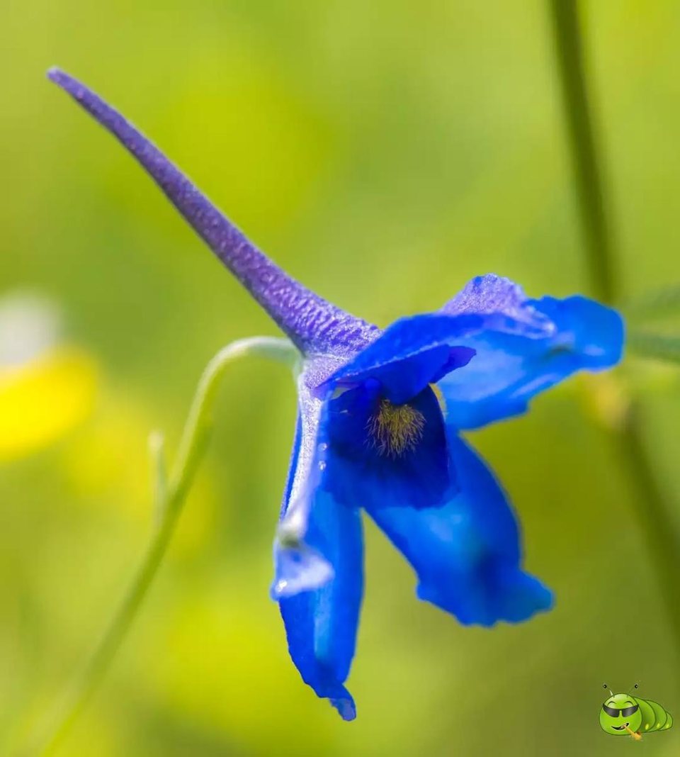 mmexport1521206425604