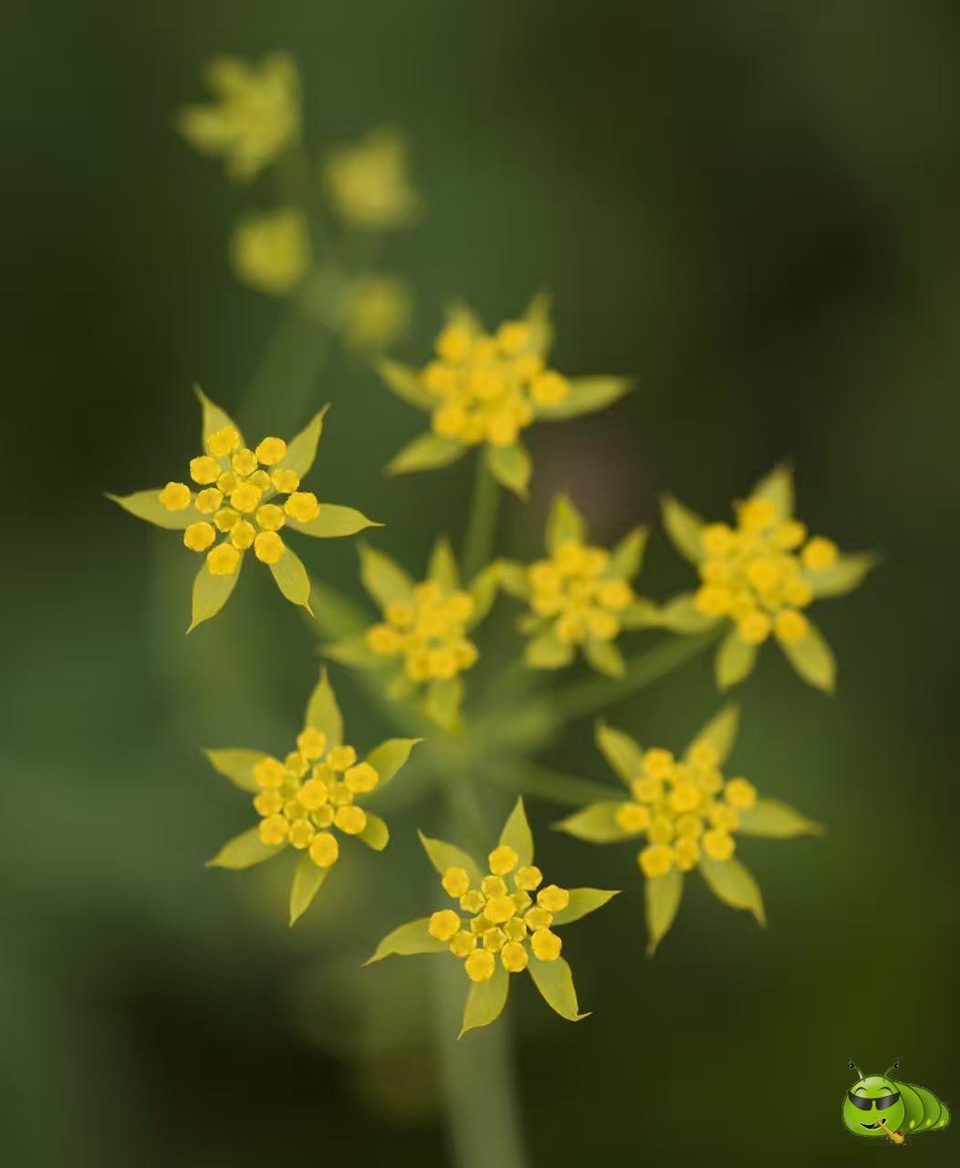 mmexport1521206581983