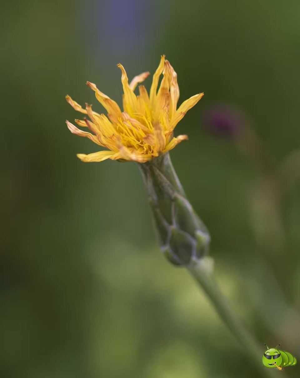 mmexport1521206603991