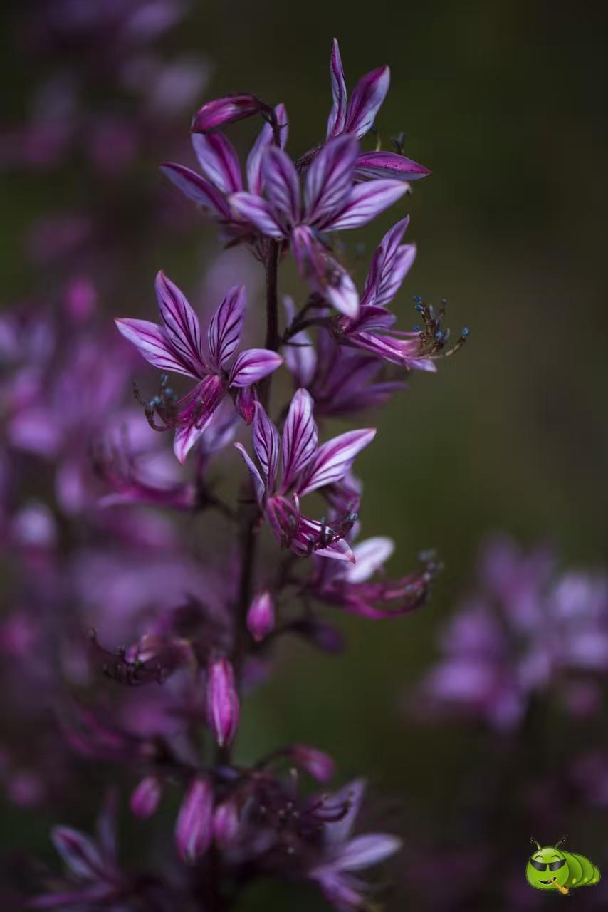 mmexport1521206635239