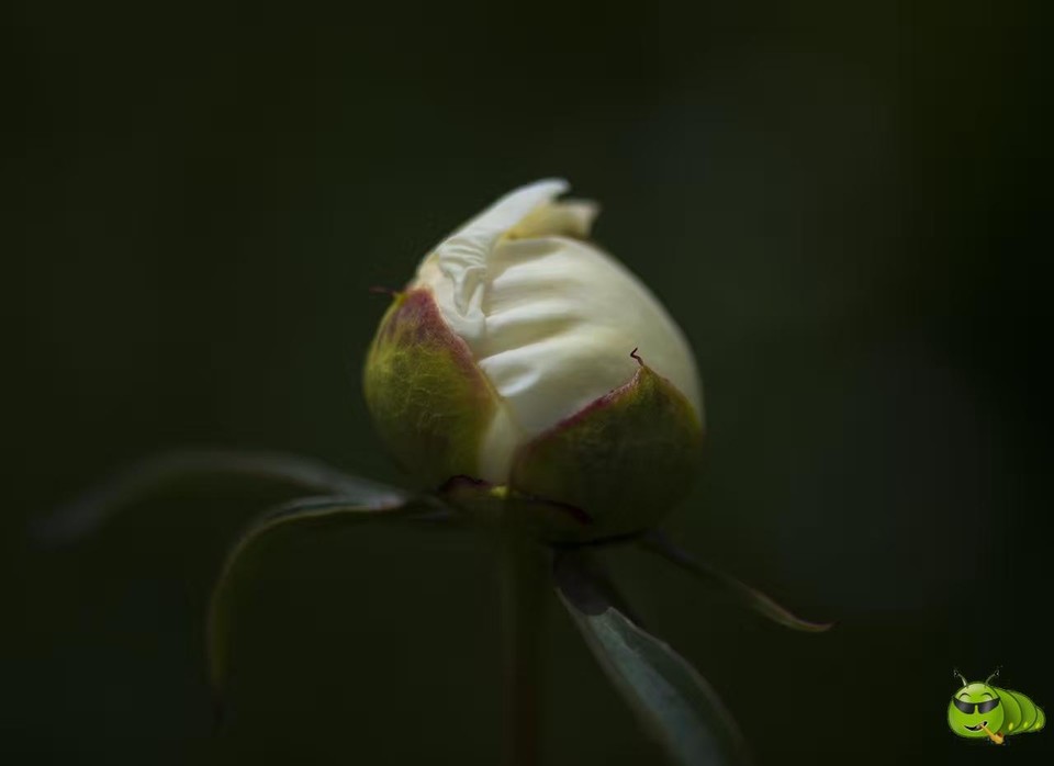 mmexport1521206639543