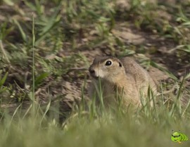 mmexport1521206676925