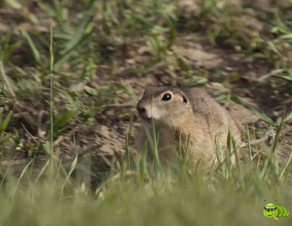 mmexport1521206676925