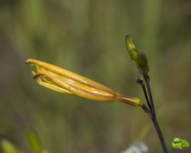 mmexport1521206709478