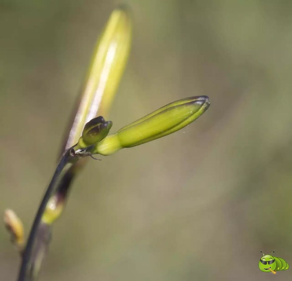 mmexport1521206715886