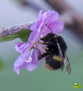 mmexport1521206737558