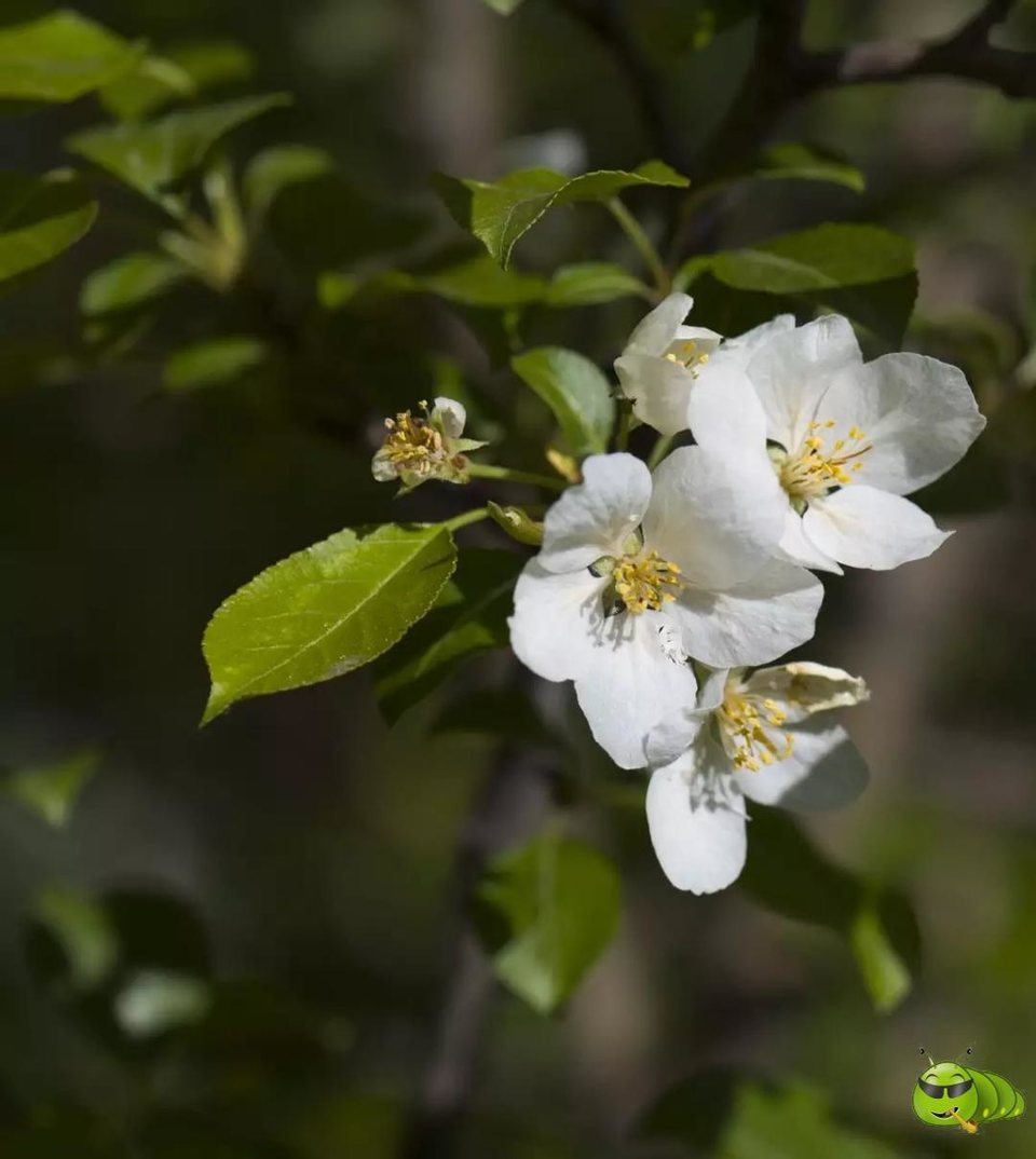 mmexport1521206820844