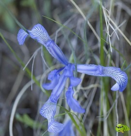 mmexport1521206837905