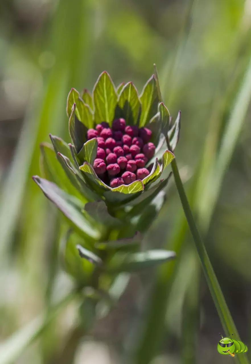 mmexport1521206848244