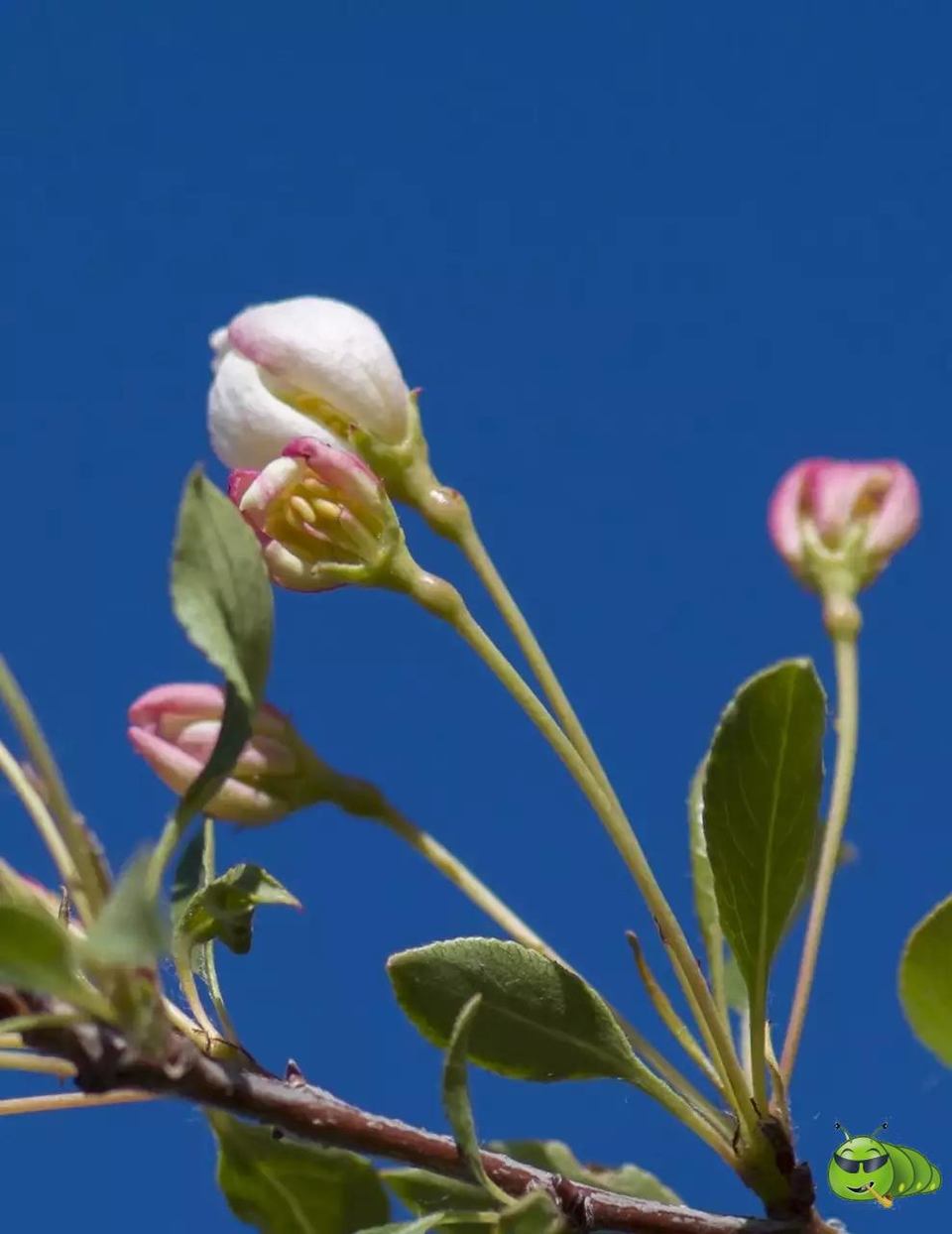 mmexport1521206856042