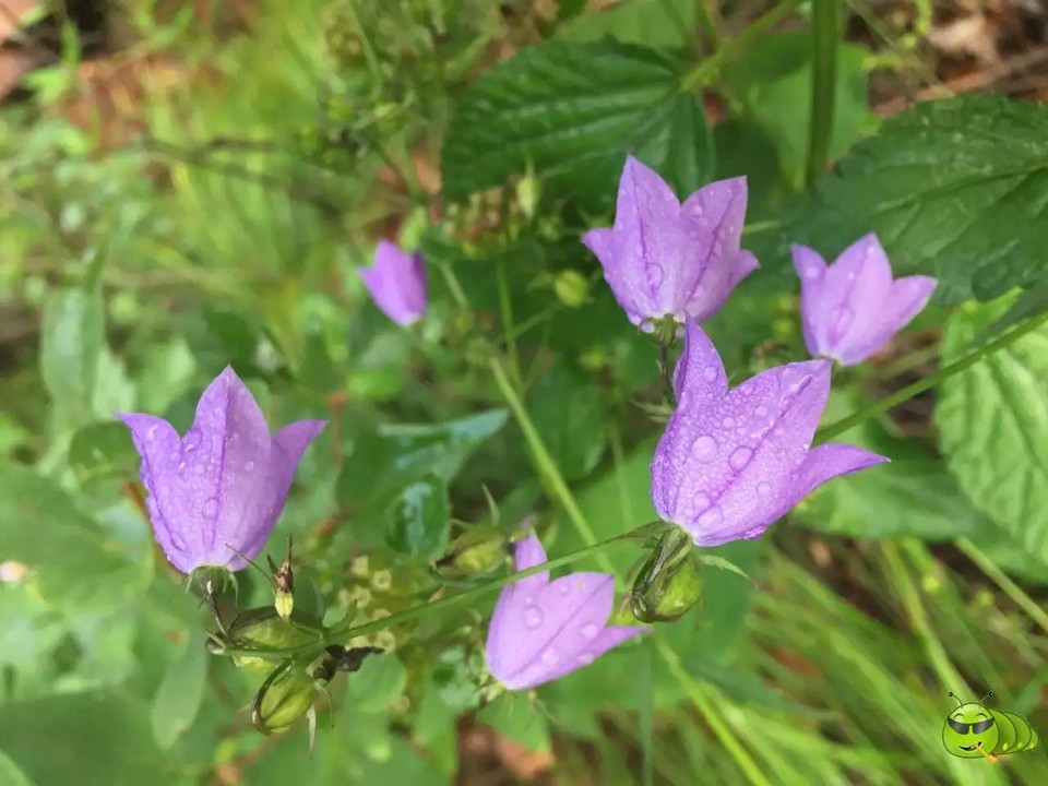 mmexport1521207187959