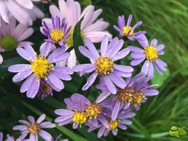 mmexport1521207192482