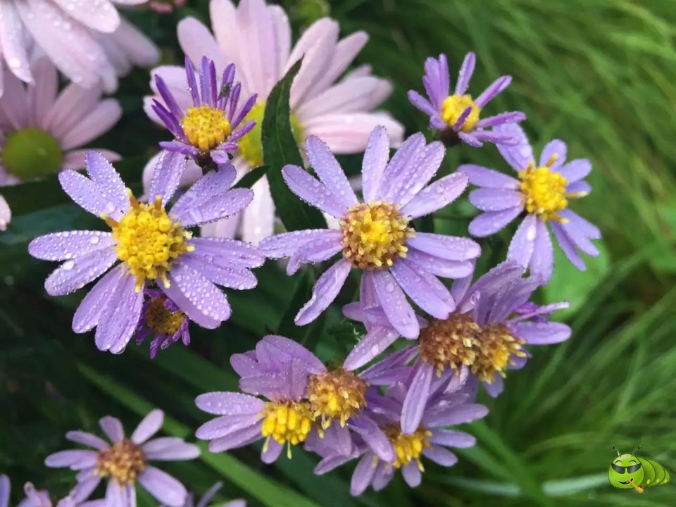 mmexport1521207192482