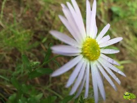 mmexport1521207206754