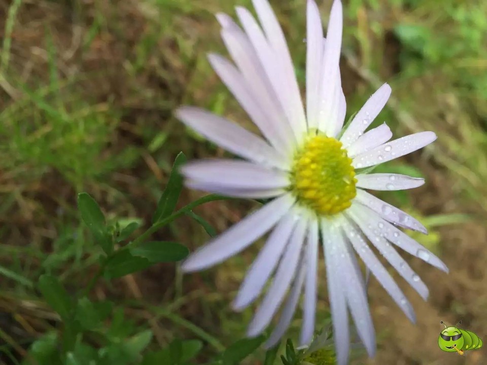 mmexport1521207206754