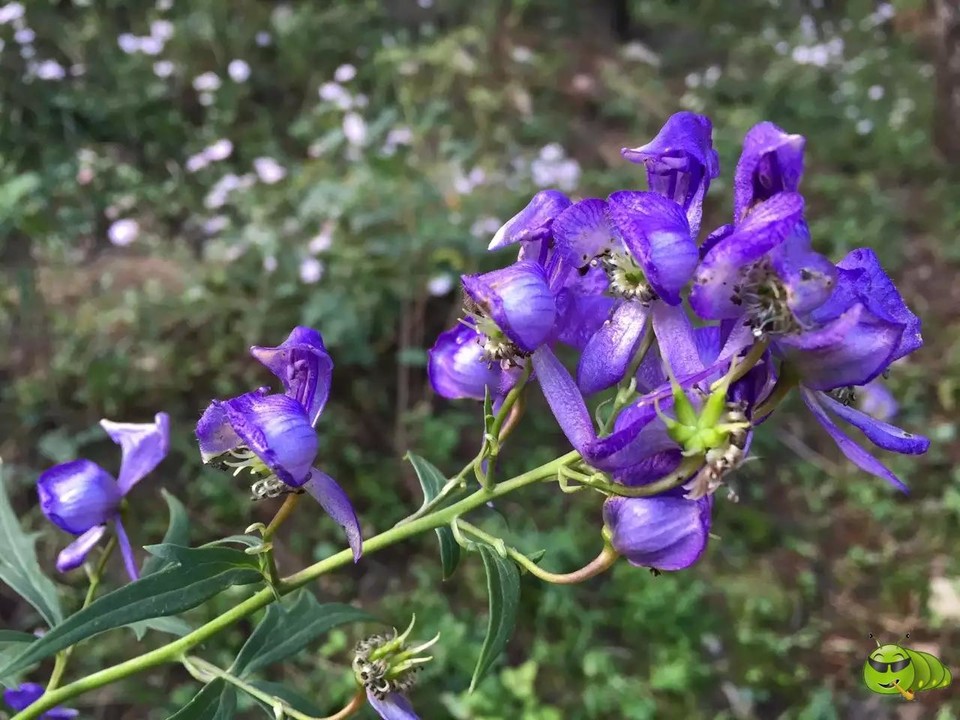 mmexport1521207216857