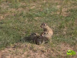 mmexport1521207257859