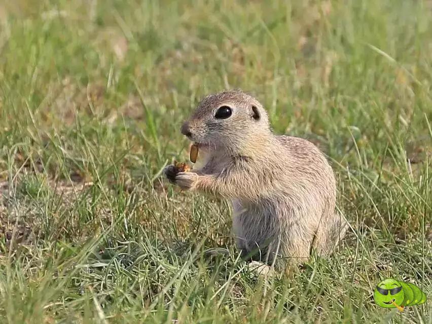 mmexport1521207265997