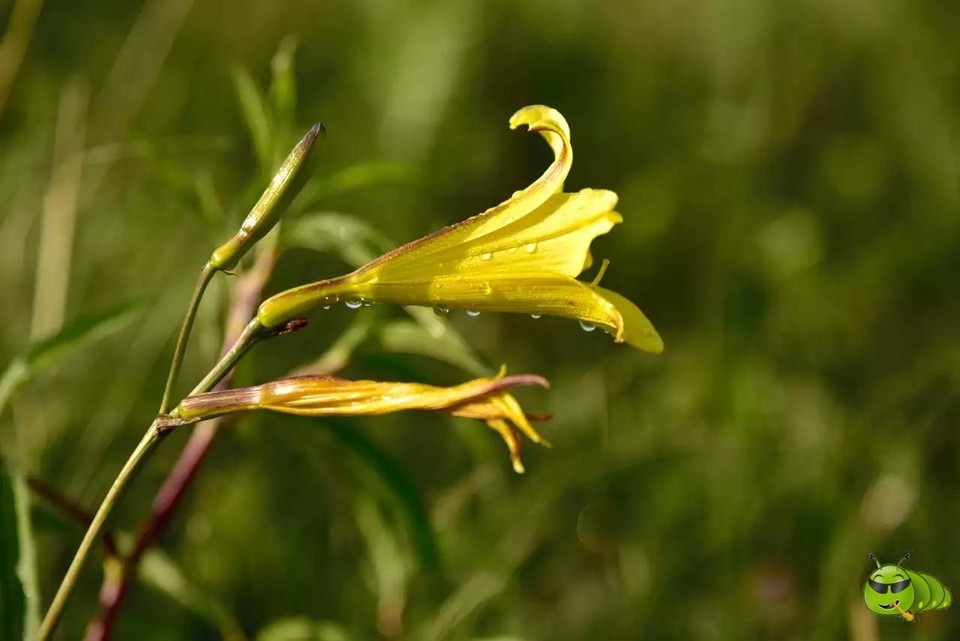 mmexport1521207637852